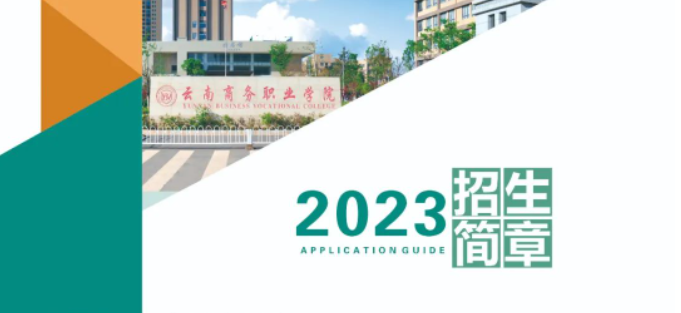 2026世界杯官网2023年报考指南